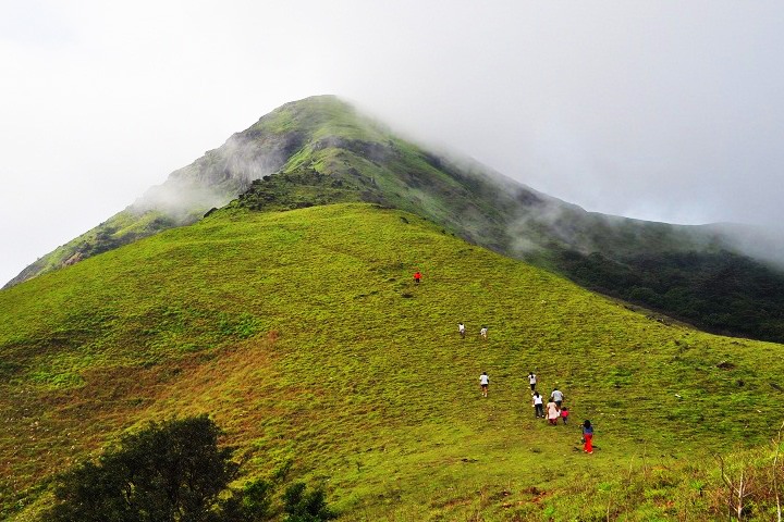 Jenukal Gudda, Sakleshpur