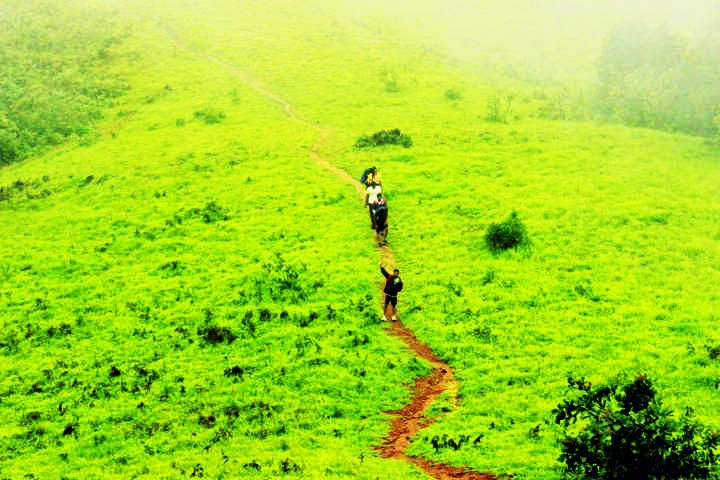 Kodachadri