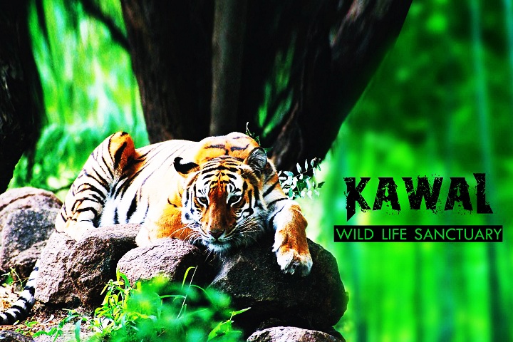 Kawal Wildlife Sanctuary