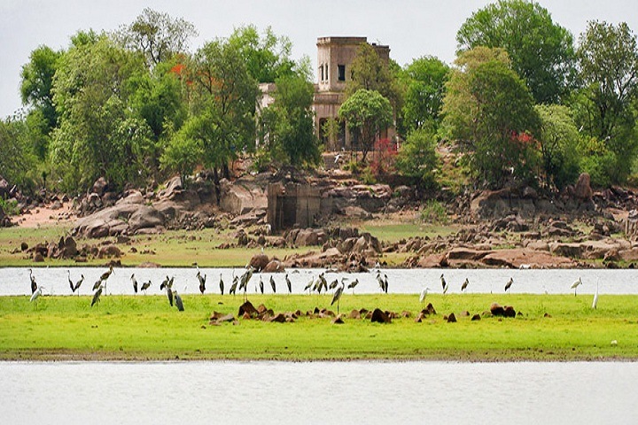 Pocharam Wildlife Sanctuary
