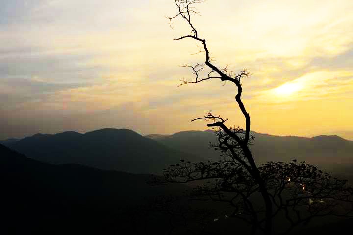 Jenu Kallu Gudda Sunset Point