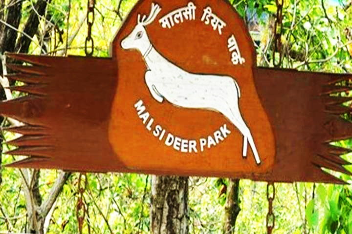 Malsi Deer Park