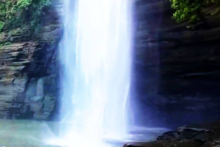 Tanda Fall