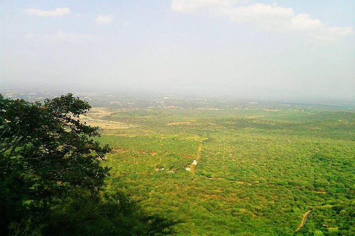 Sirumalai Reserved Forest