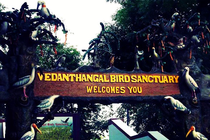 Vedanthangal Bird Sanctuary