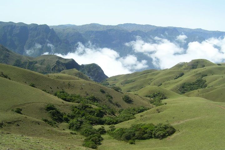 Mukurthi National Park