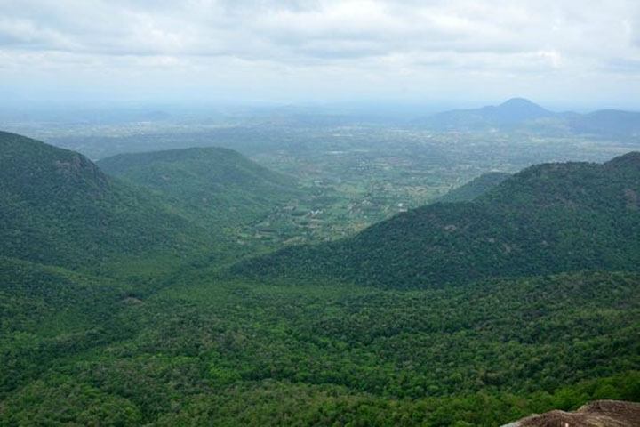 Karadiyur View Point