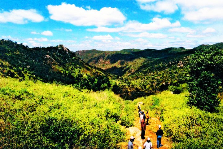 Swamimalai Hills