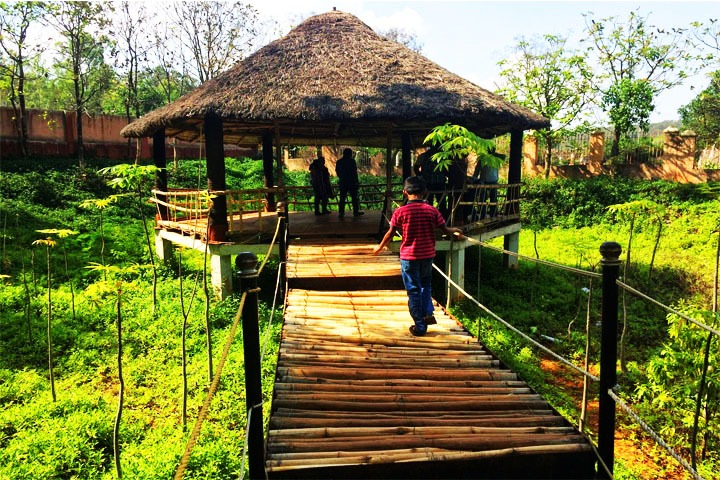 Yelagiri - Nature Park