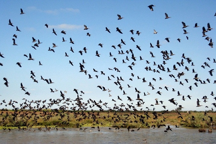Karera Bird Sanctuary