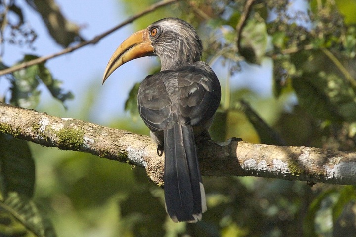 Kharmour Wildlife Sanctuary
