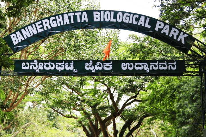 Bannerghatta national park