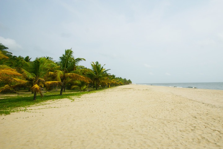 Marari Beach