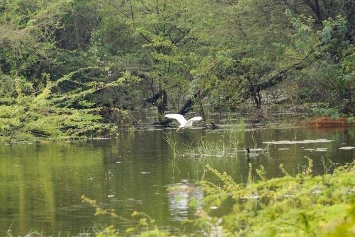 Vellode Bird Sanctuary