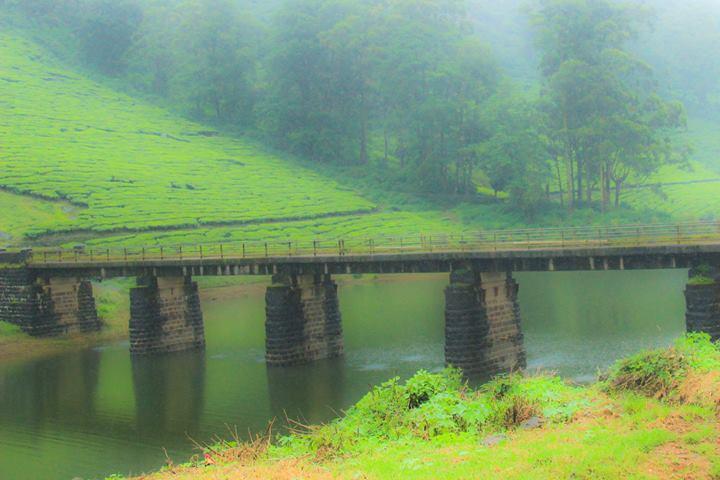 Meghamalai - High Wavy Mountains