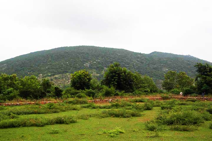 Venu Vana Kalandakanivapa