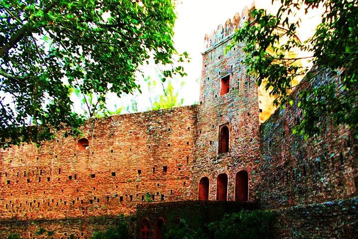 Morni Fort