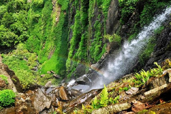 Agumbe