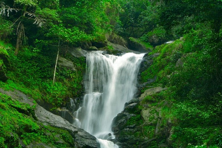Coorg