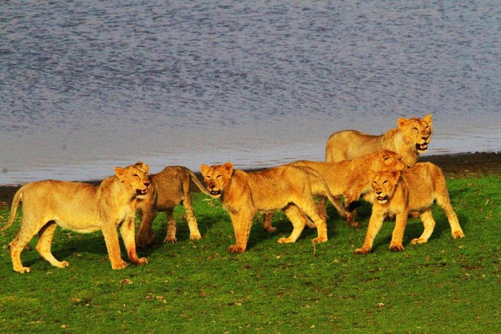 Junagadh