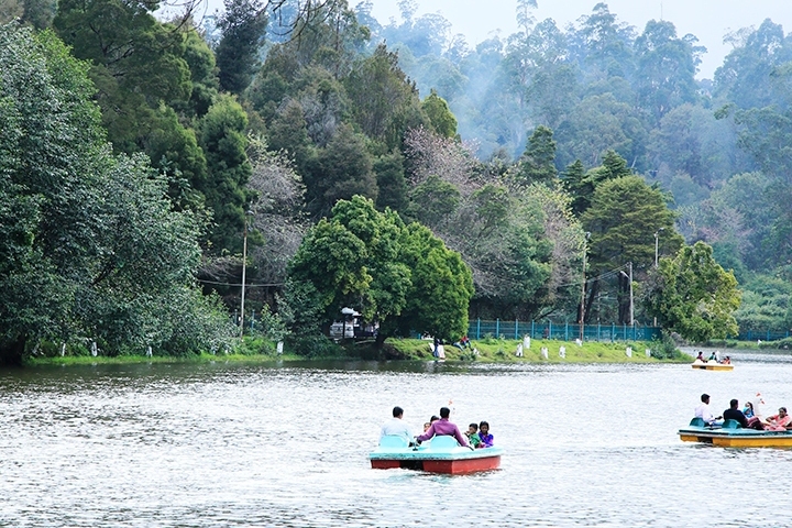 Kodaikanal Lake