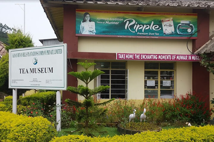 Tea Museum