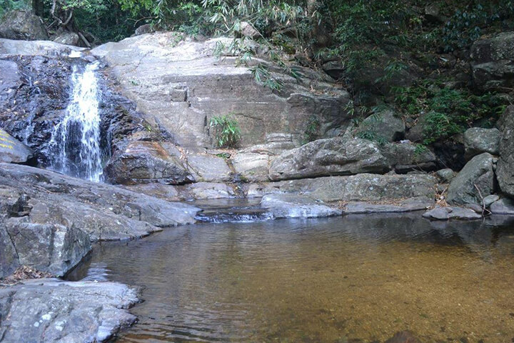 Agasthyamalai