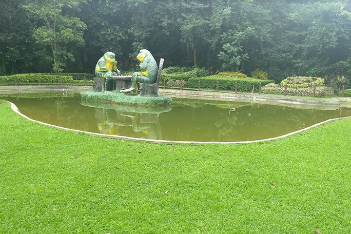 Nilambur Teak Museum