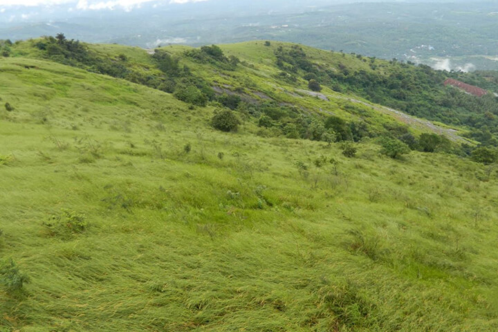 Kodikuthimala