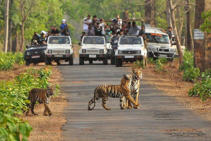 Painganga Wildlife Sanctuary