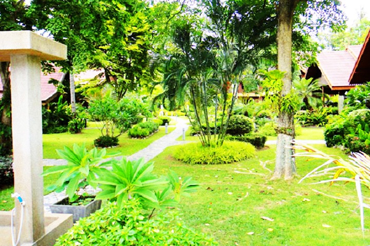 Dutch Garden Sachin