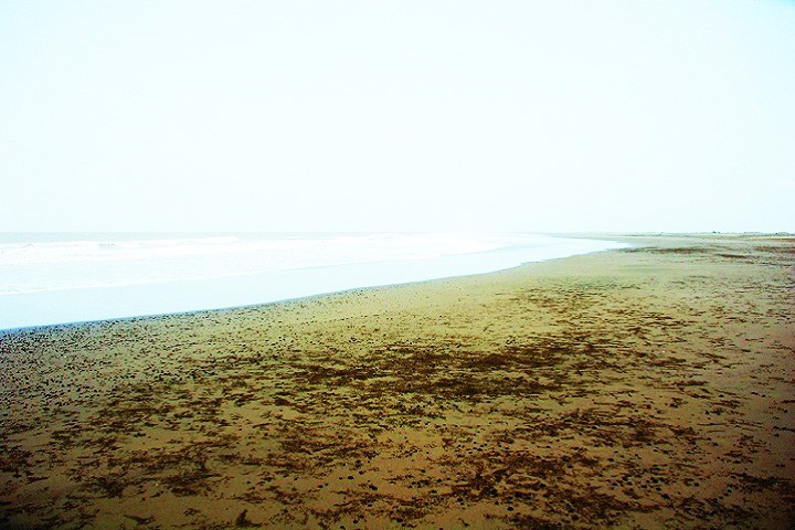 Suvali Beach Sachin
