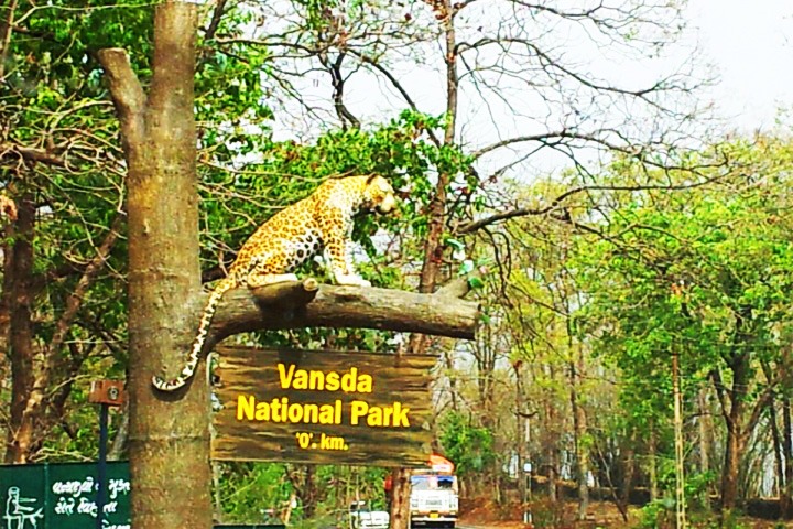Vansda National Park Sachin