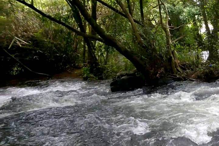 Paniyeli Poru