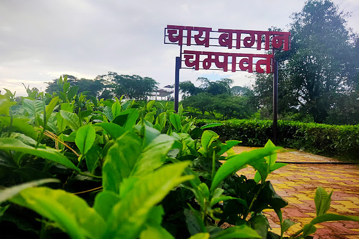 Botanical Tea Garden