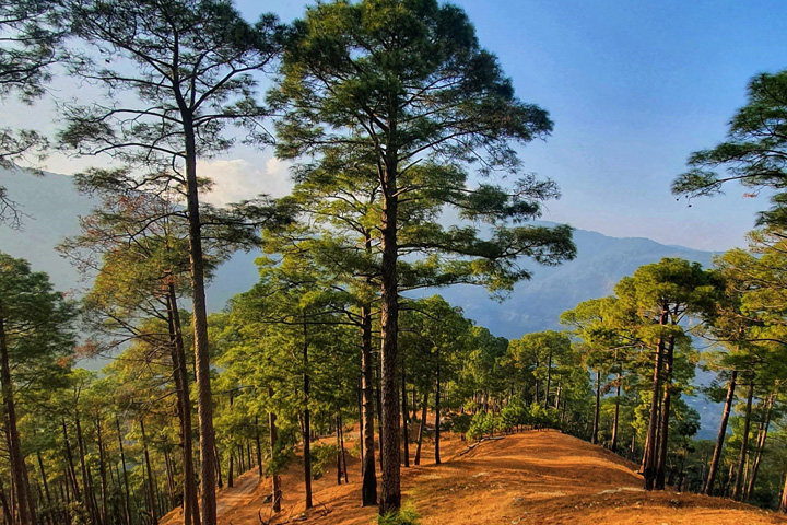 https://www.clearholidays.com/hbimages/desktop/location/1710229696790-Hippie-Hill-Cranks-Ridge-Banner-Almora-Uttarakhand.jpg