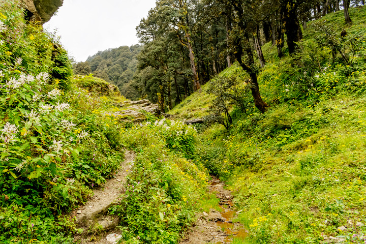 Jalori Pass