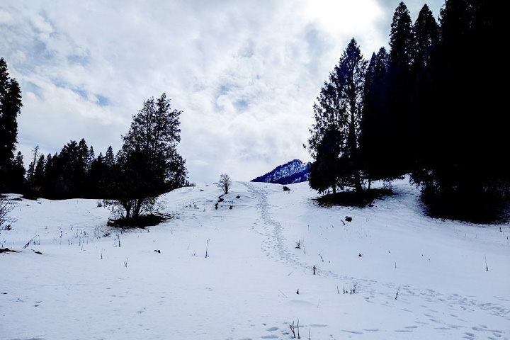 Ganjau Thatch Trek