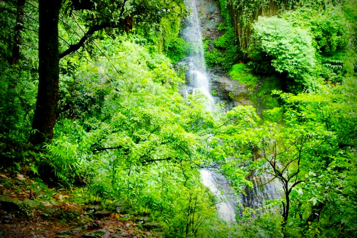 Chadwick Falls
