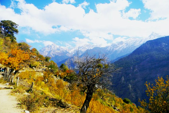 Shaily Peak
