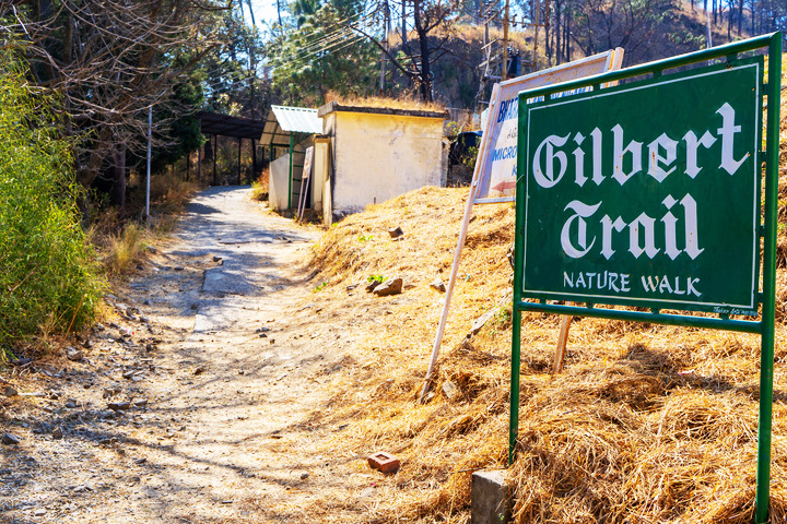 Gilbert Nature Trail