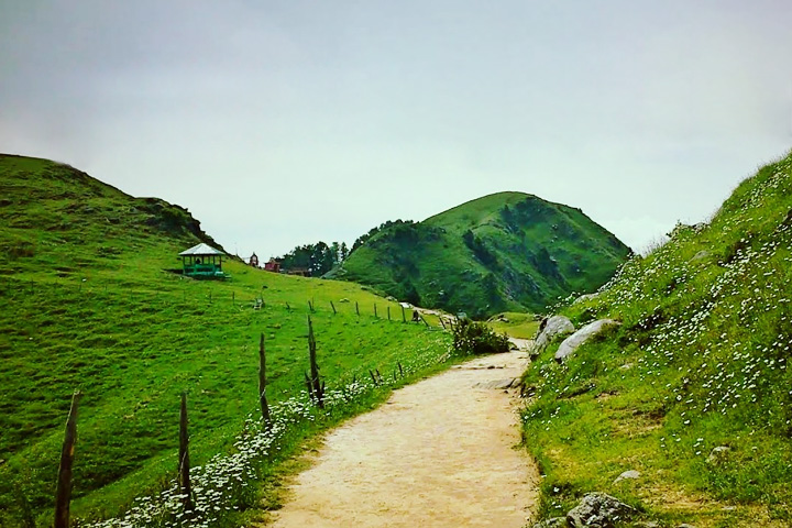 Dainkund Peak Trek