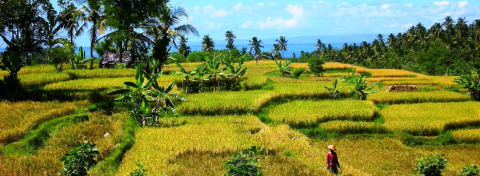Ellenabad